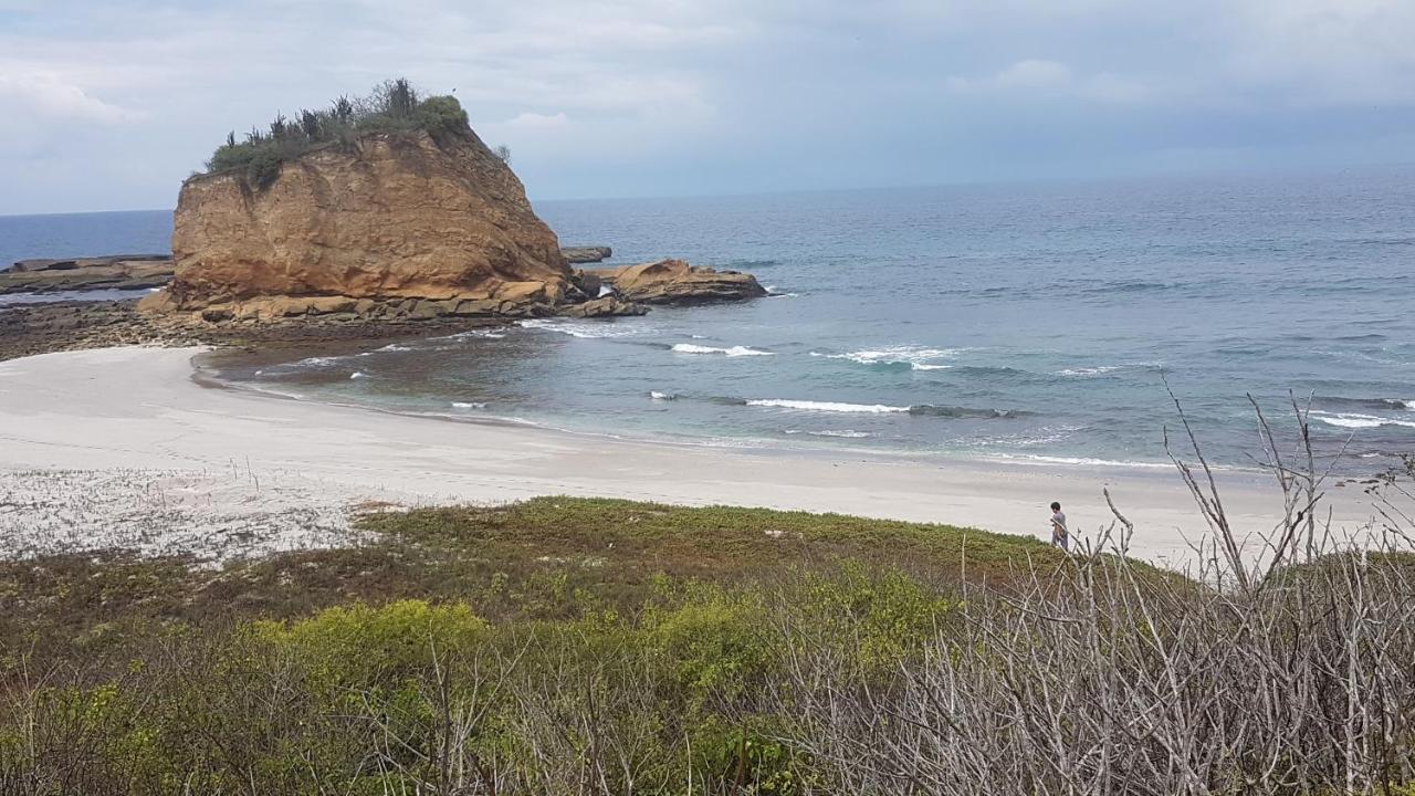 Hospedaje Algarrobo Мачалилья Экстерьер фото